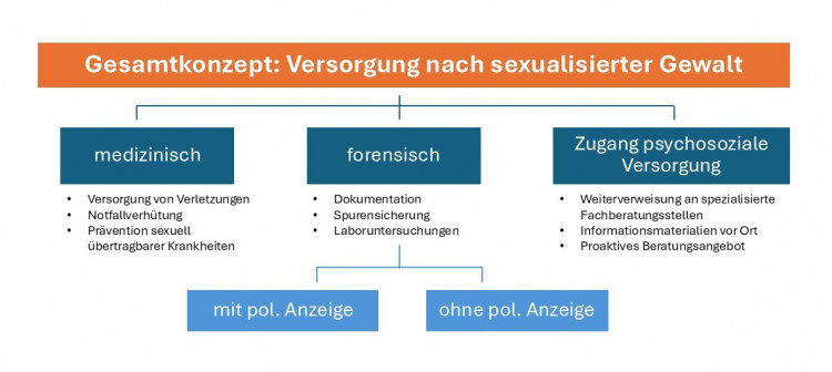 Grafische Übersicht zum Gesamtkonzept der Versorgung nach sexualisierter Gewalt mit den Bereichen medizinische Versorgung, forensische Maßnahmen sowie Zugang zur psychosozialen Versorgung.